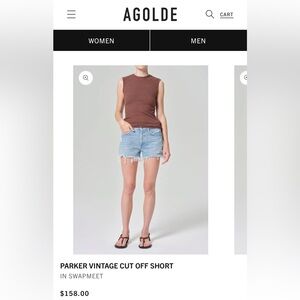 AGOLDE Vintage Parker Shorts in Swapmeet 26
